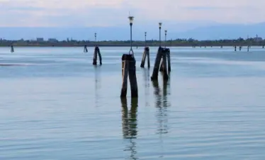 Tour per Gruppi Chioggia > Laguna Sud